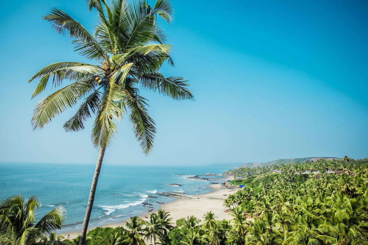 Aria Beach Resort 瓦加托 外观 照片